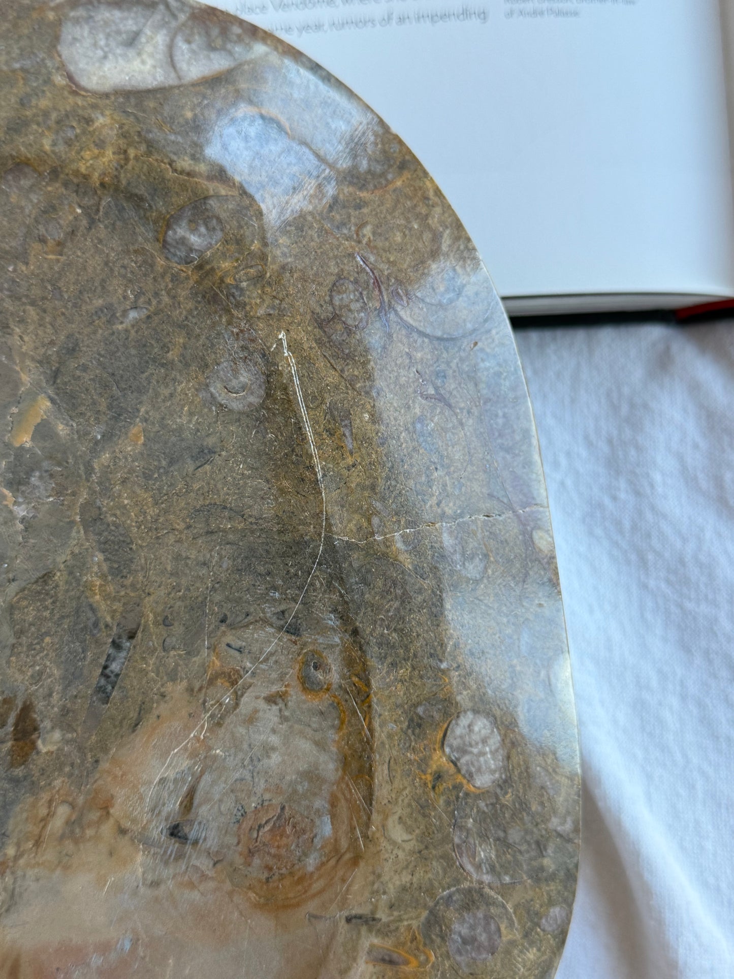 Large Fossil Marble Dish