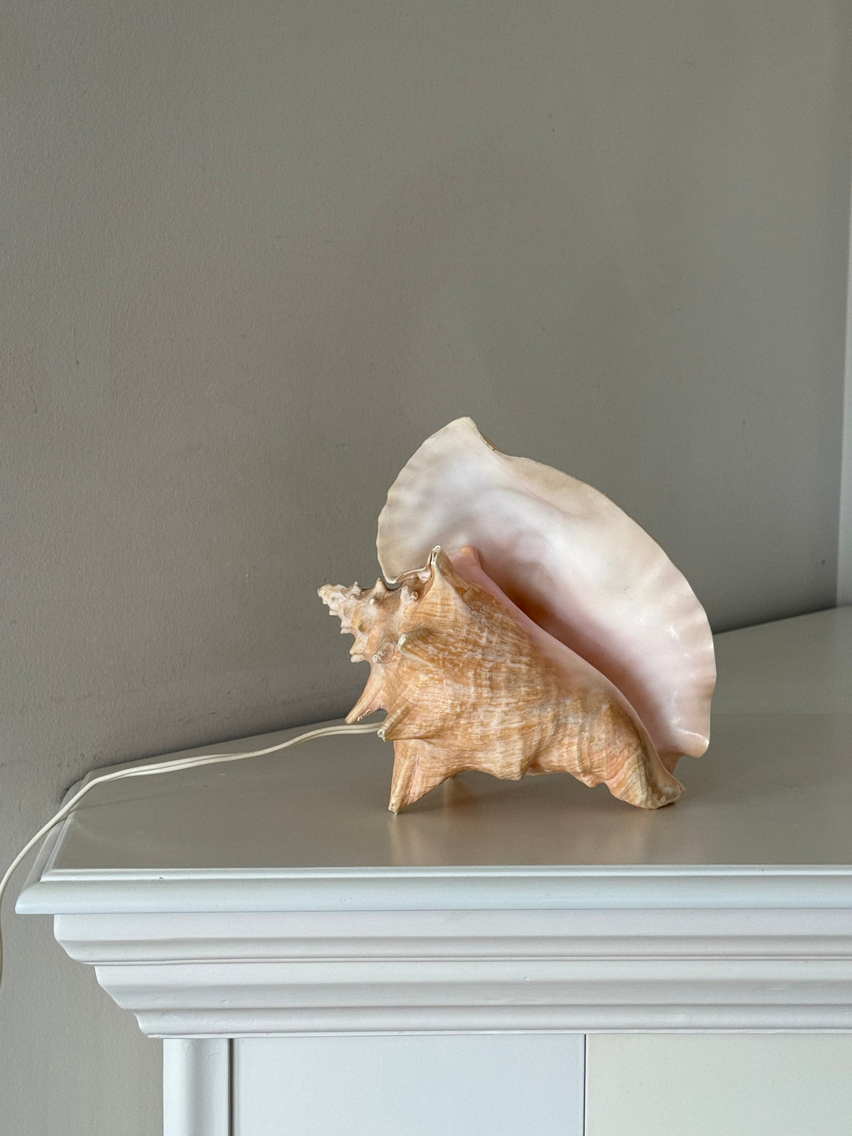 Vintage Sculptural Conch Shell Accent Lamp