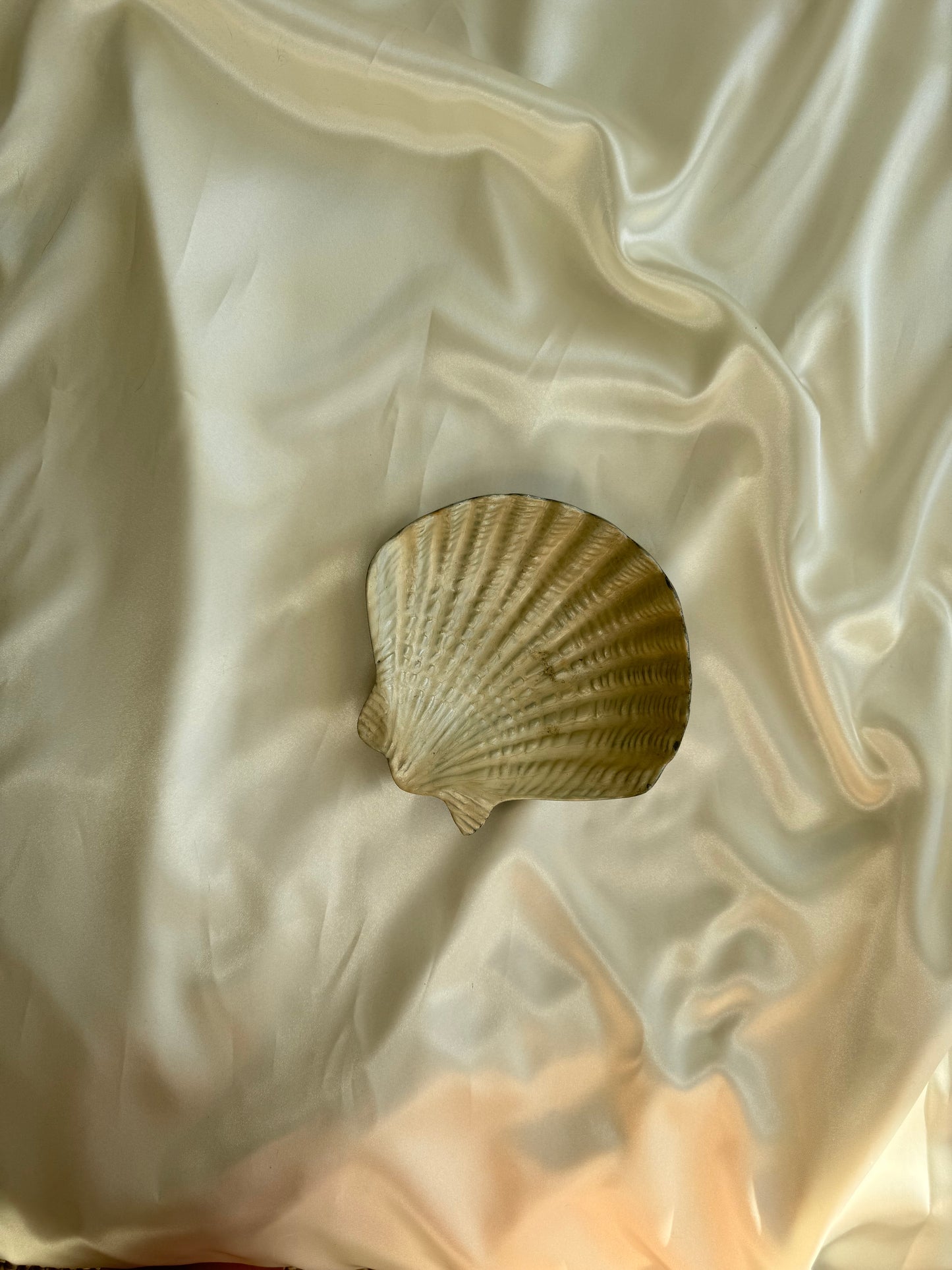 Vintage Shell Catchall Dish