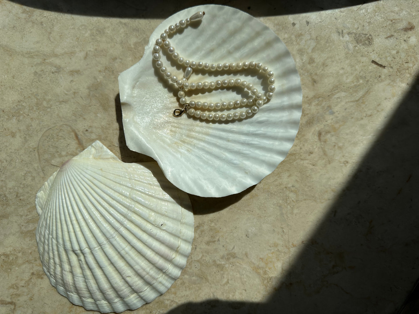 Natural Shell Serving Plates (Set of 3 )