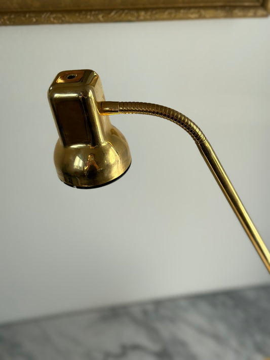 Gooseneck brass desk lamp