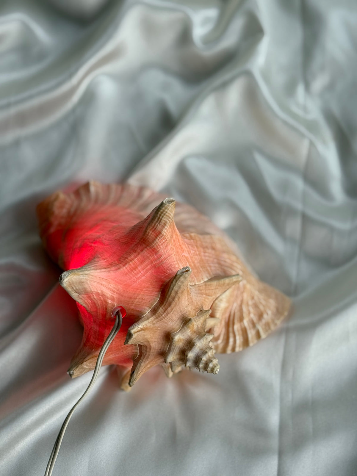 Vintage Sculptural Conch Shell Accent Lamp