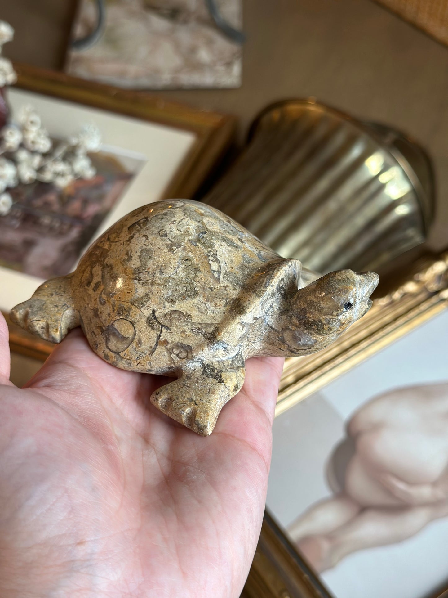 Fossil stone turtle