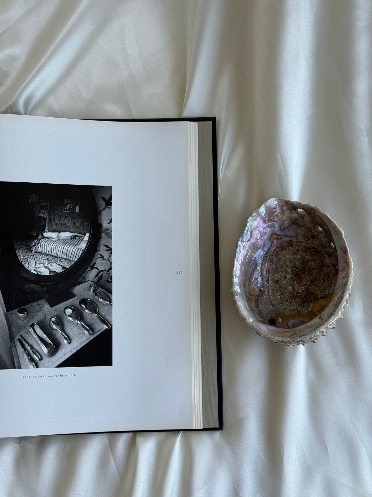 Vintage Natural Abalone Shell Bowl