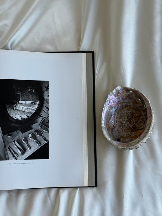 Vintage Natural Abalone Shell Bowl