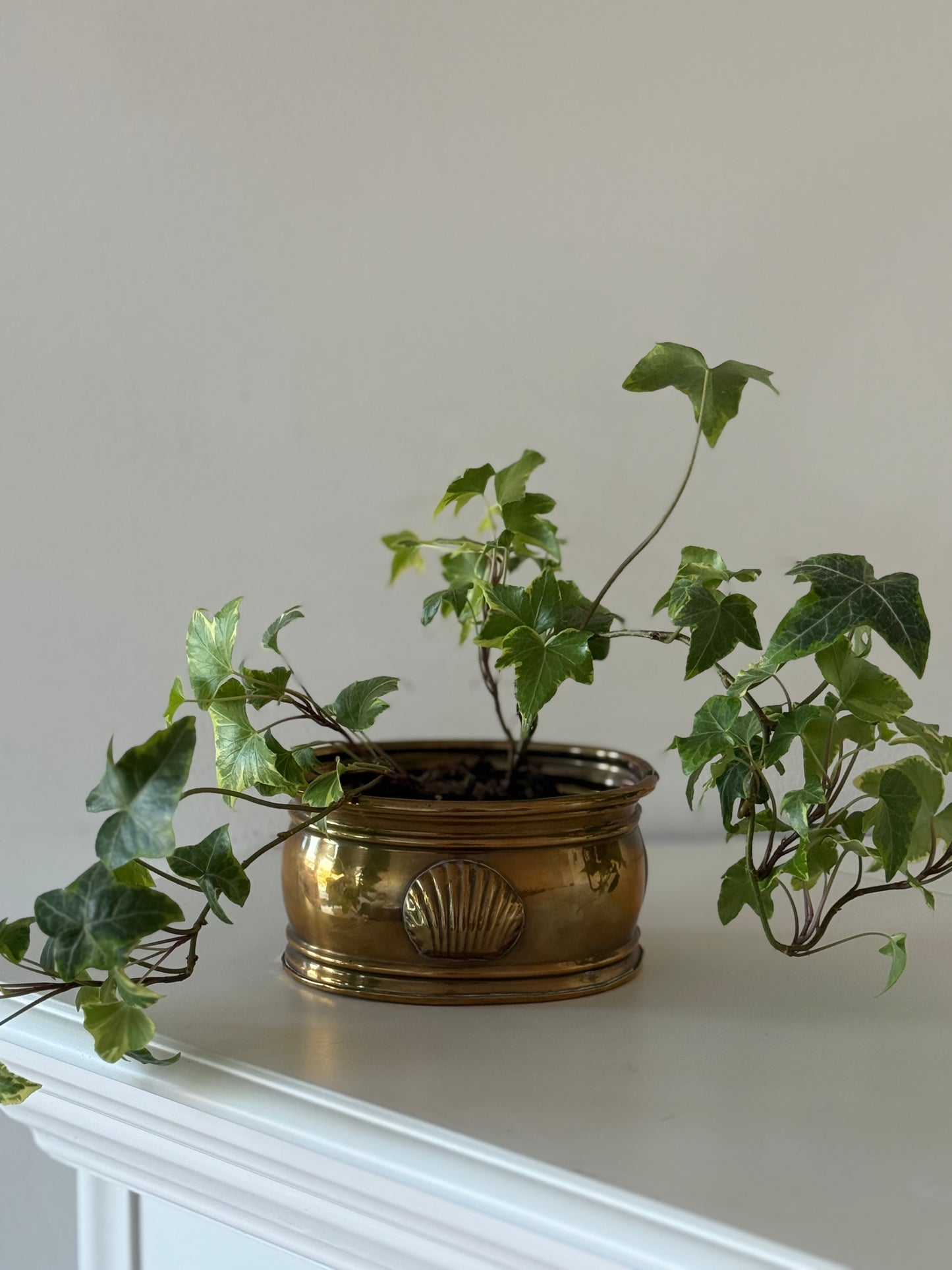 Vintage Brass Planter with Shell Motif
