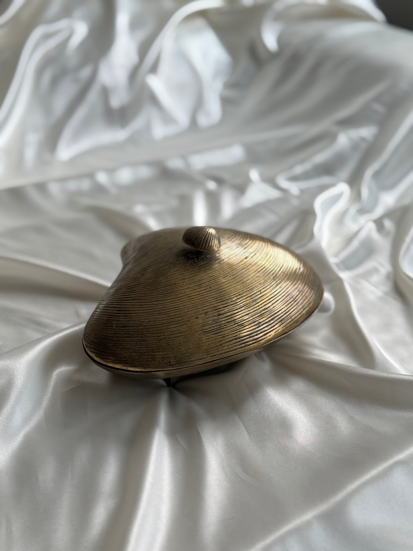 Vintage Large  Solid Brass Clamshell Box