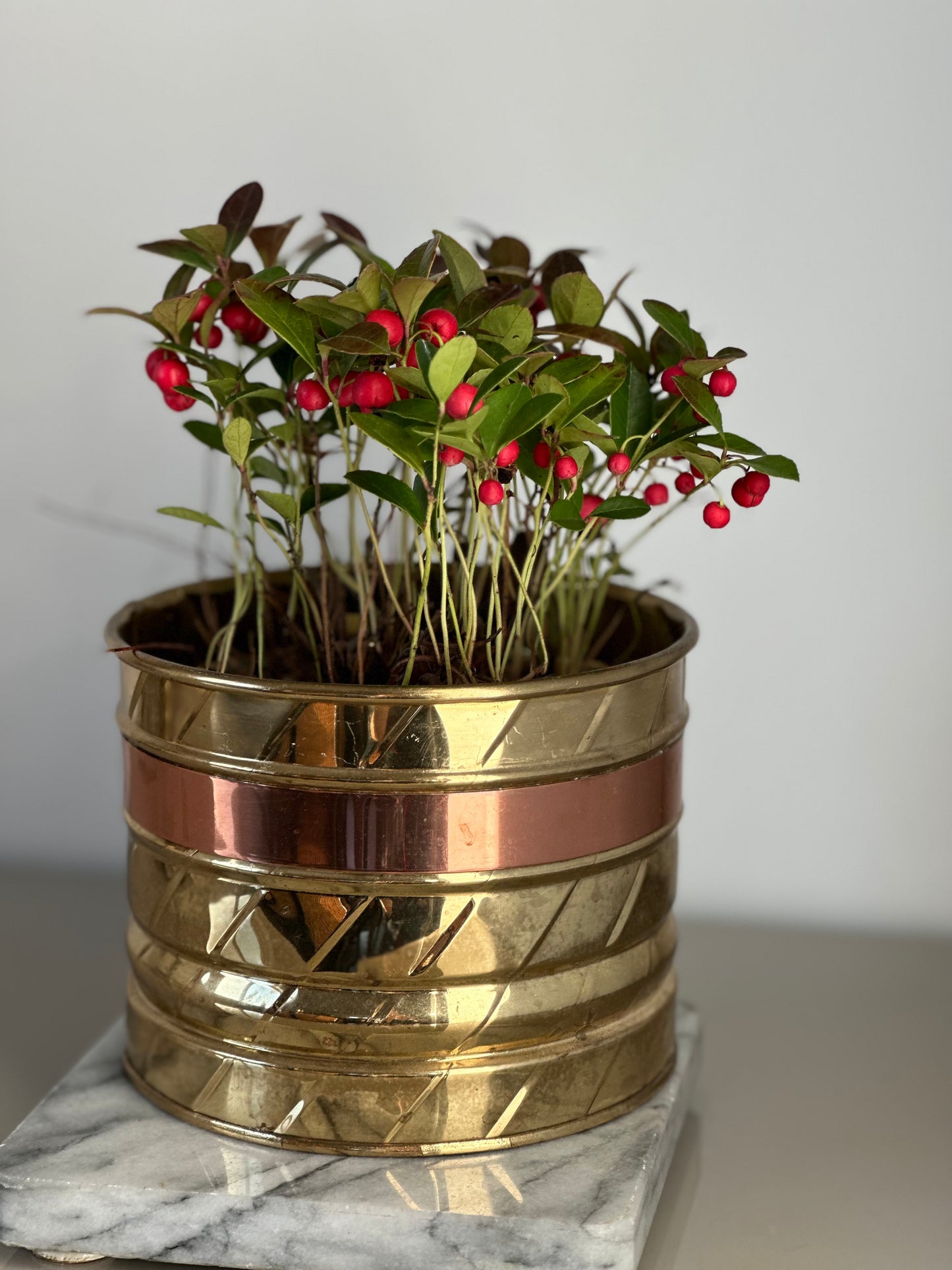 Small brass planter