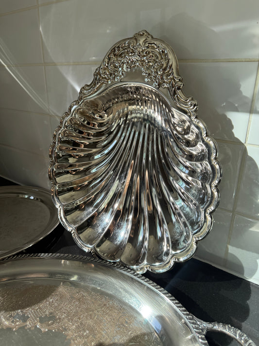 Large Shell