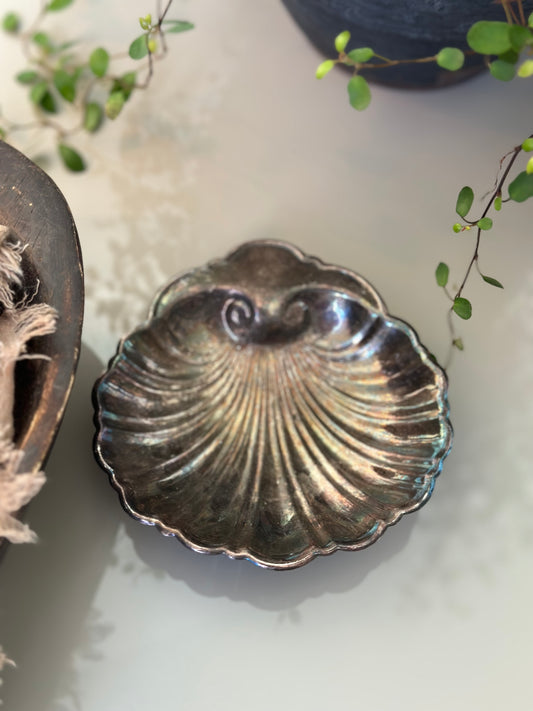 Silver shell catchall