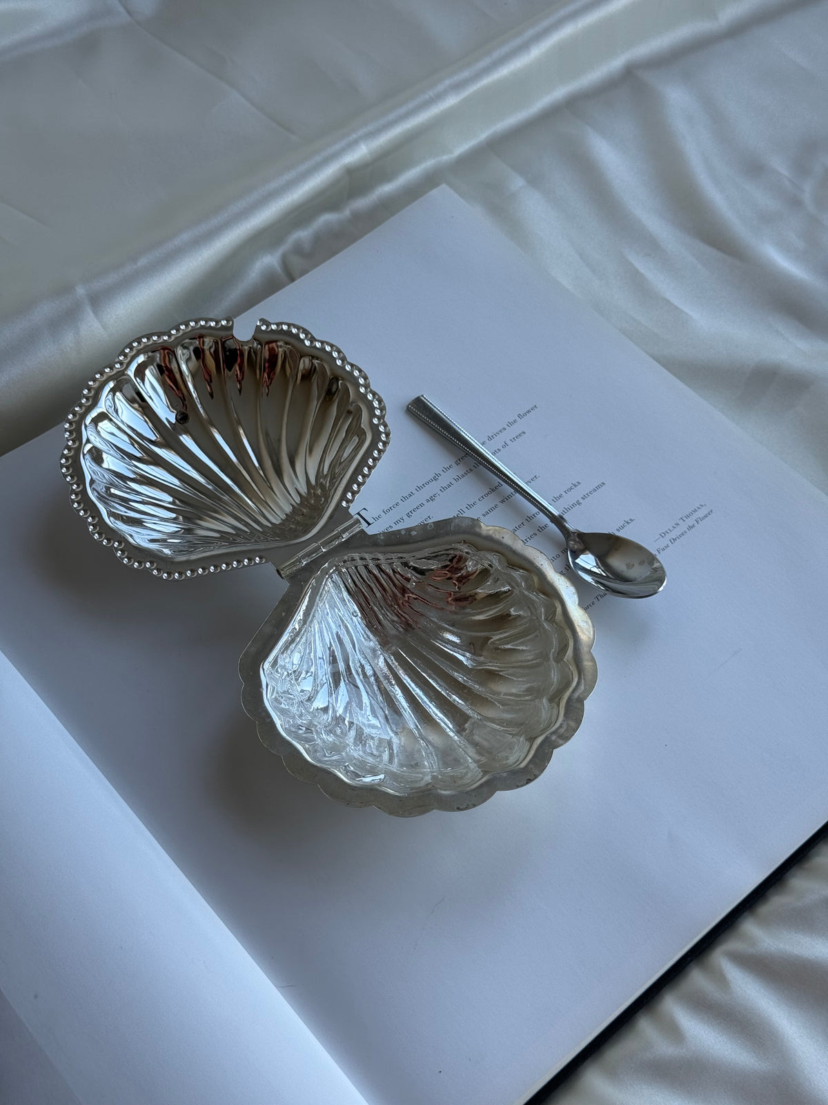 Vintage Silver-Plated Shell Sugar Bowl with Glass Insert & Spoon