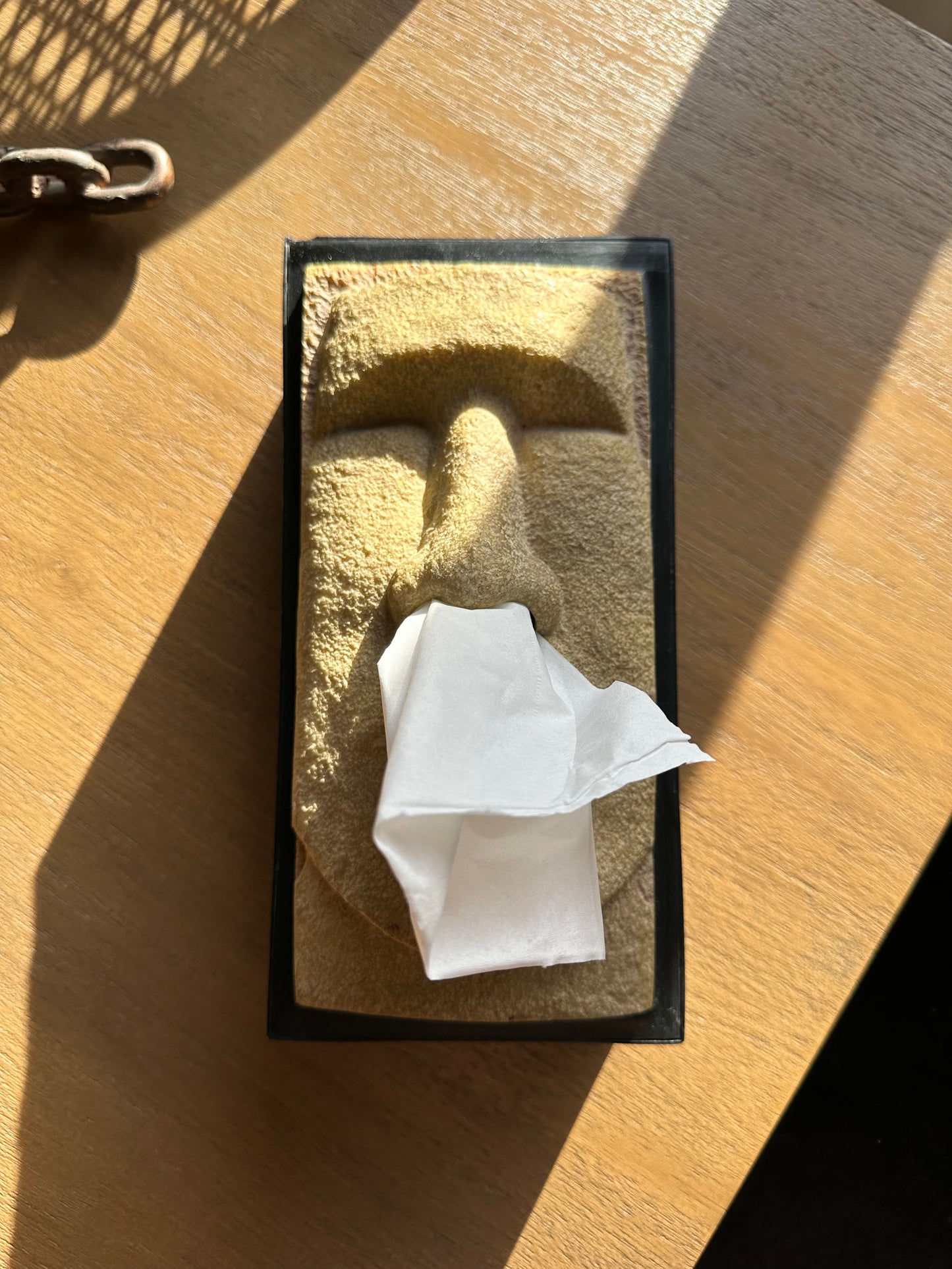 Tissue holder box