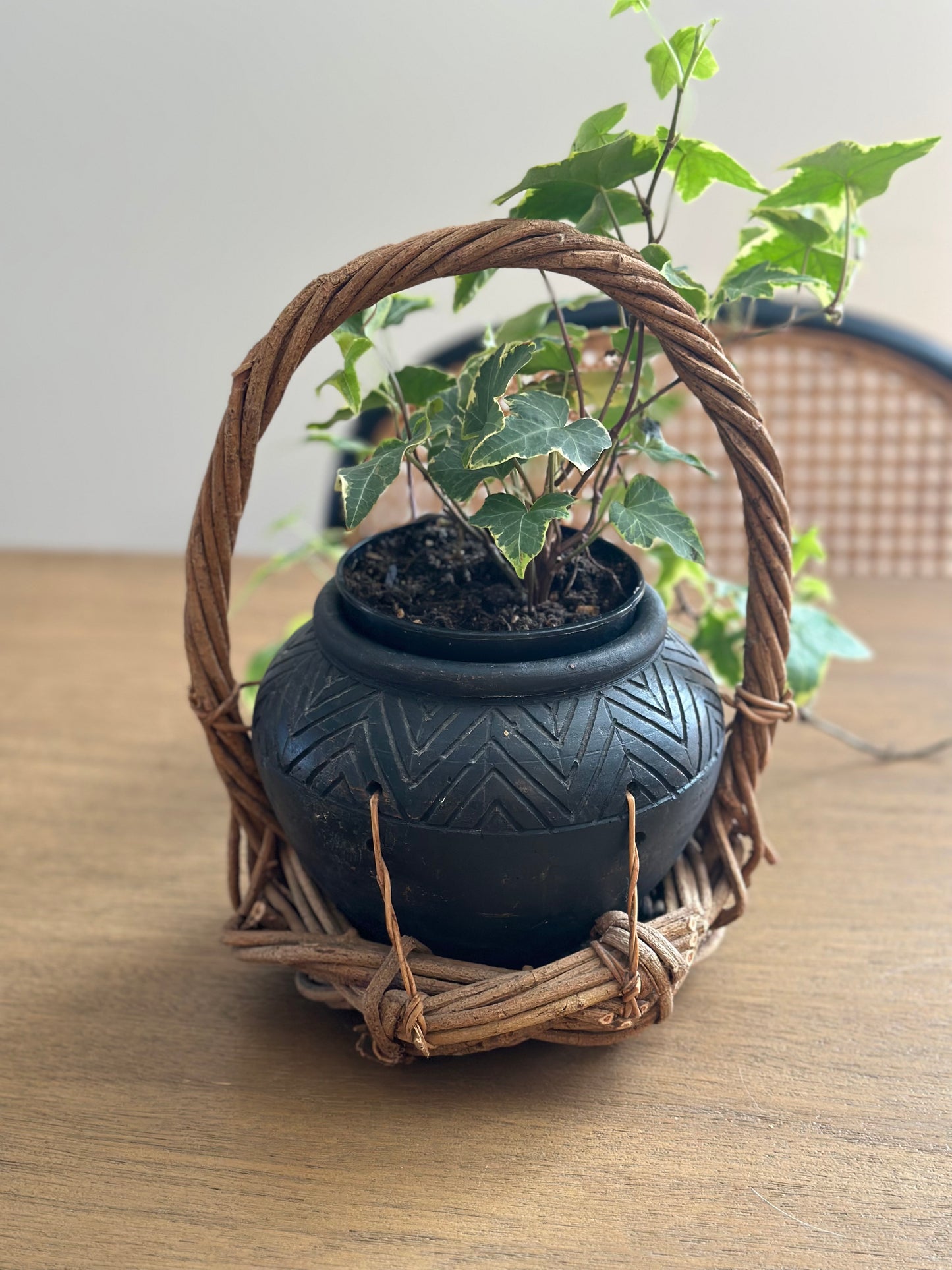 Planter in a basket