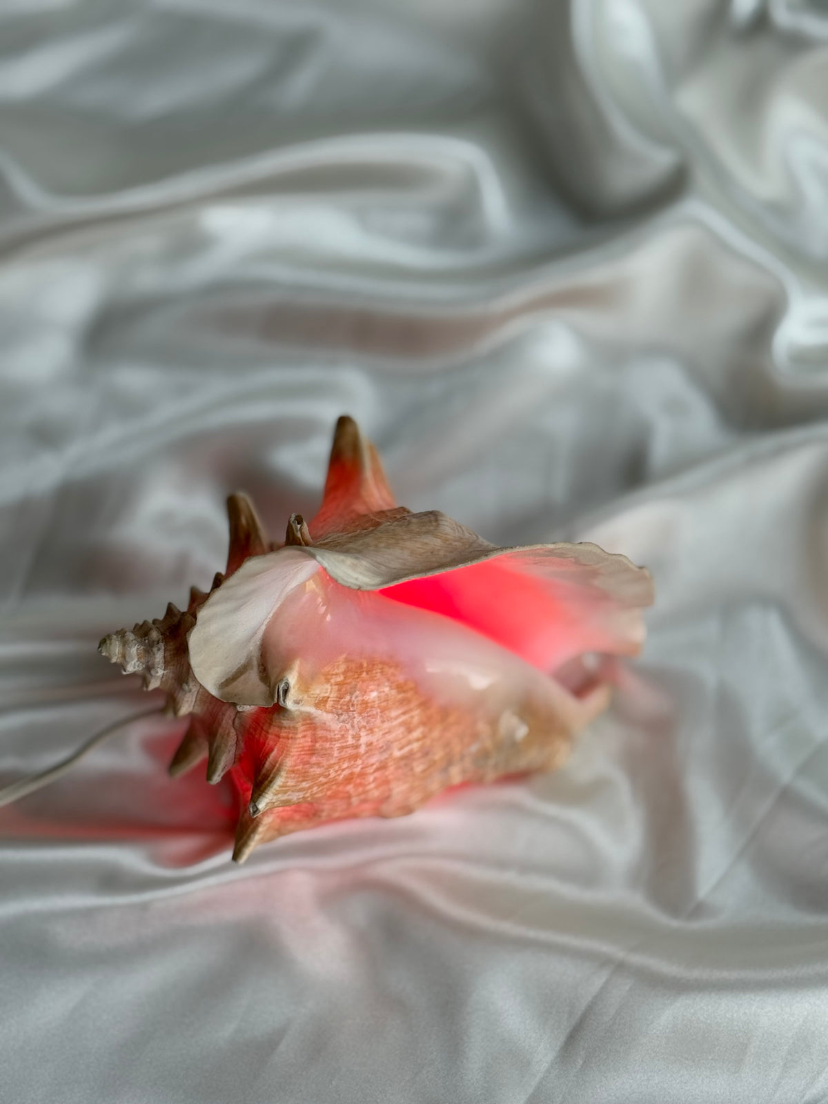 Vintage Sculptural Conch Shell Accent Lamp