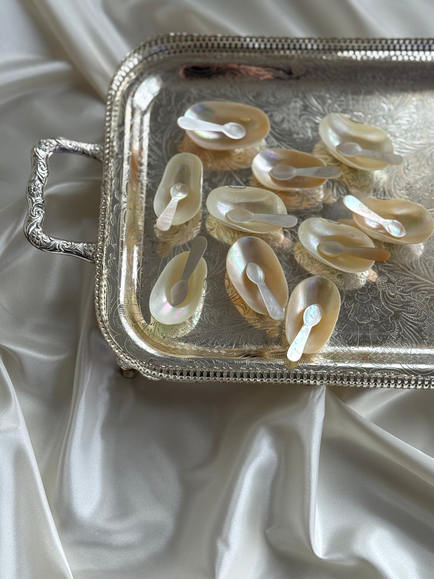 Vintage Mother of Pearl Caviar Serving Dishes – Set of 10 with Mini Spoons