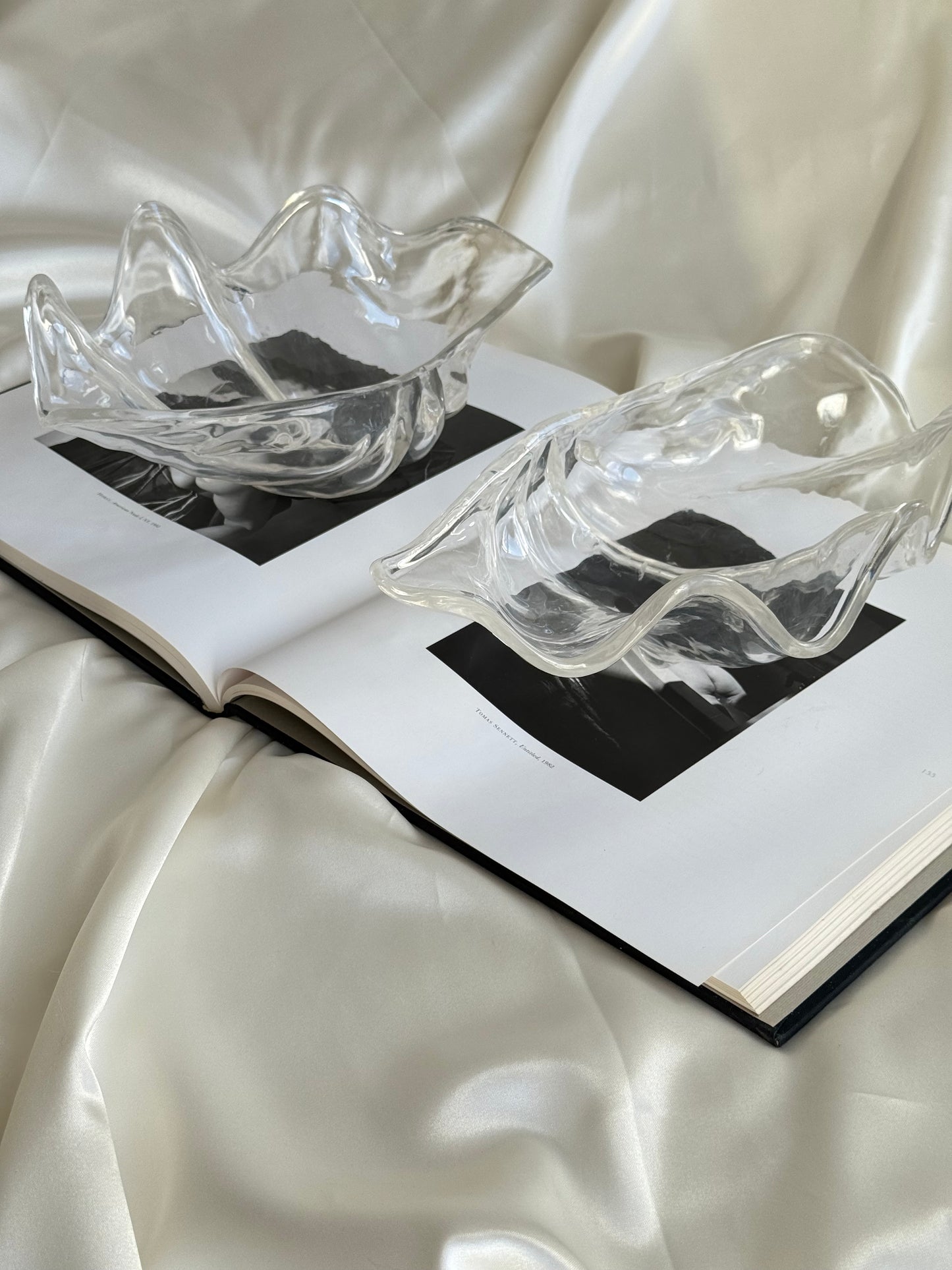 Set of 2 Sculptural Acrylic Shell Dishes – Coastal Modern Decor