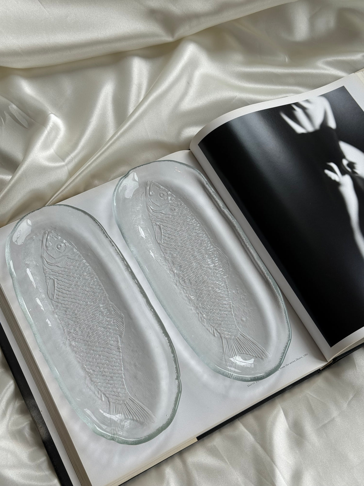 Vintage Clear Glass Fish Serving Dishes