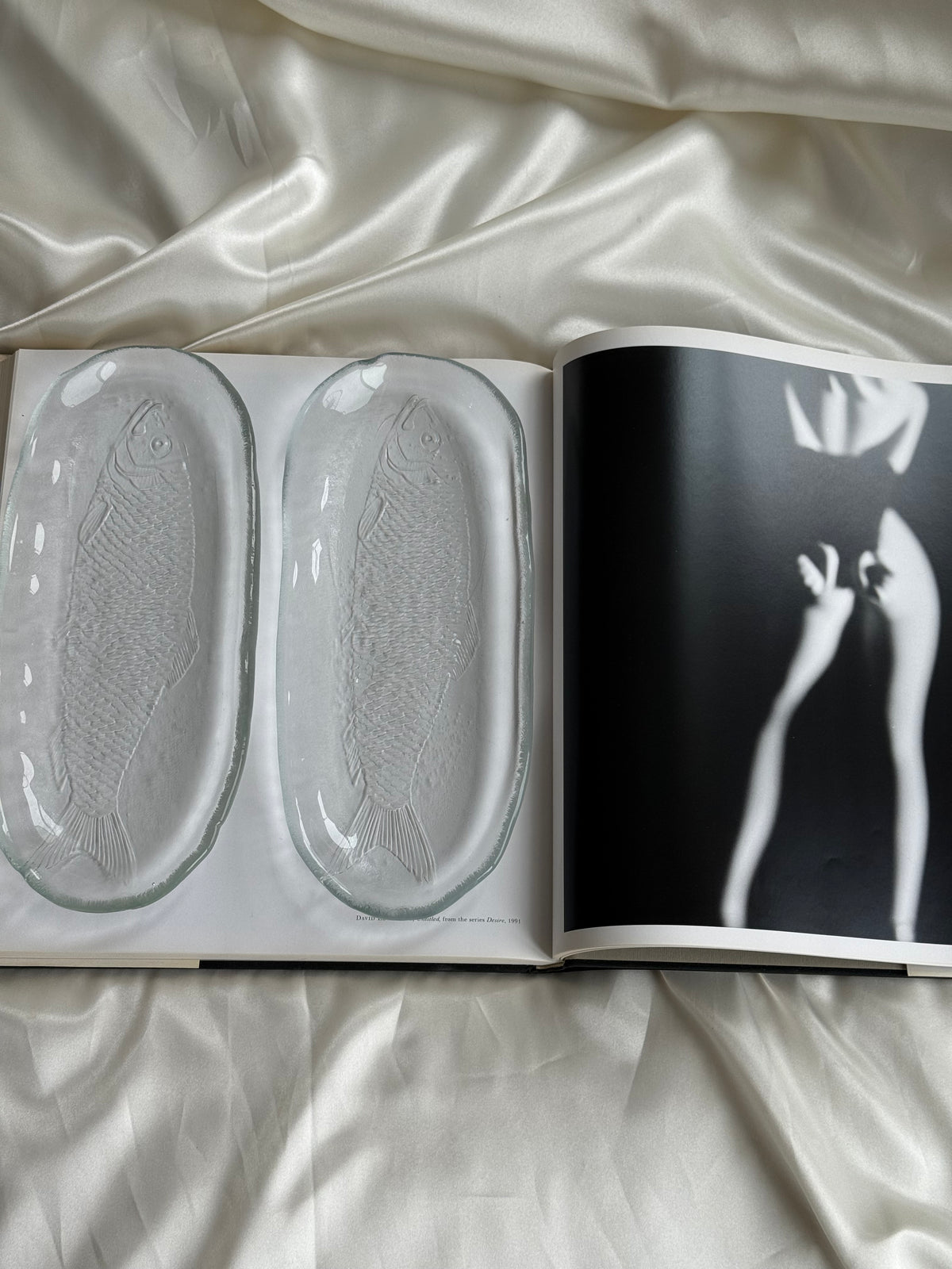 Vintage Clear Glass Fish Serving Dishes