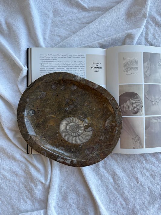 Large Fossil Marble Dish