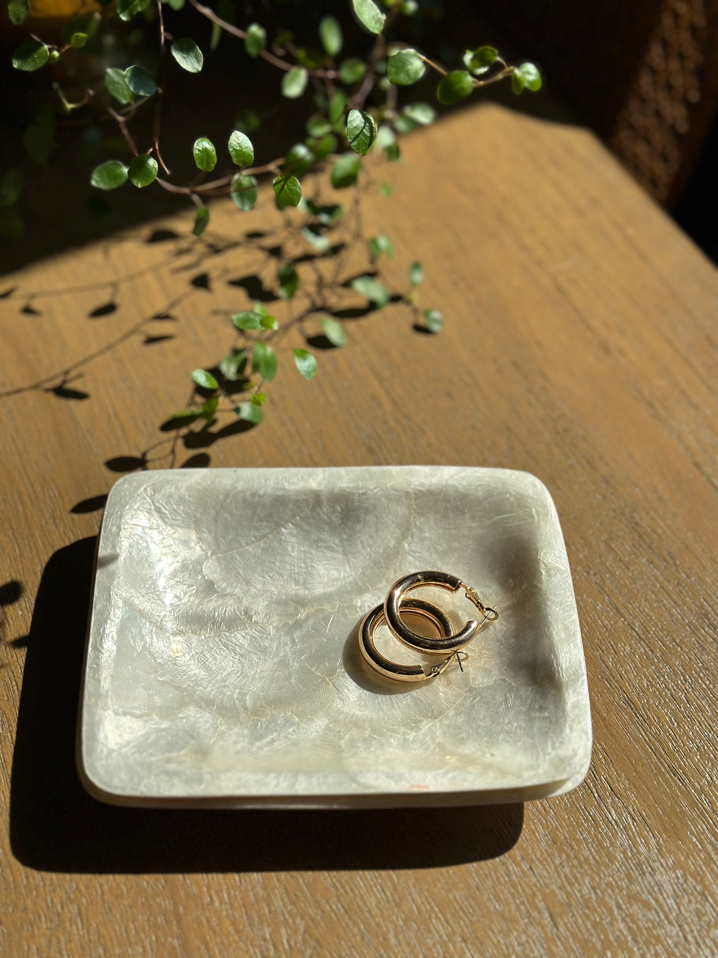 Two Vintage Capiz shell trays