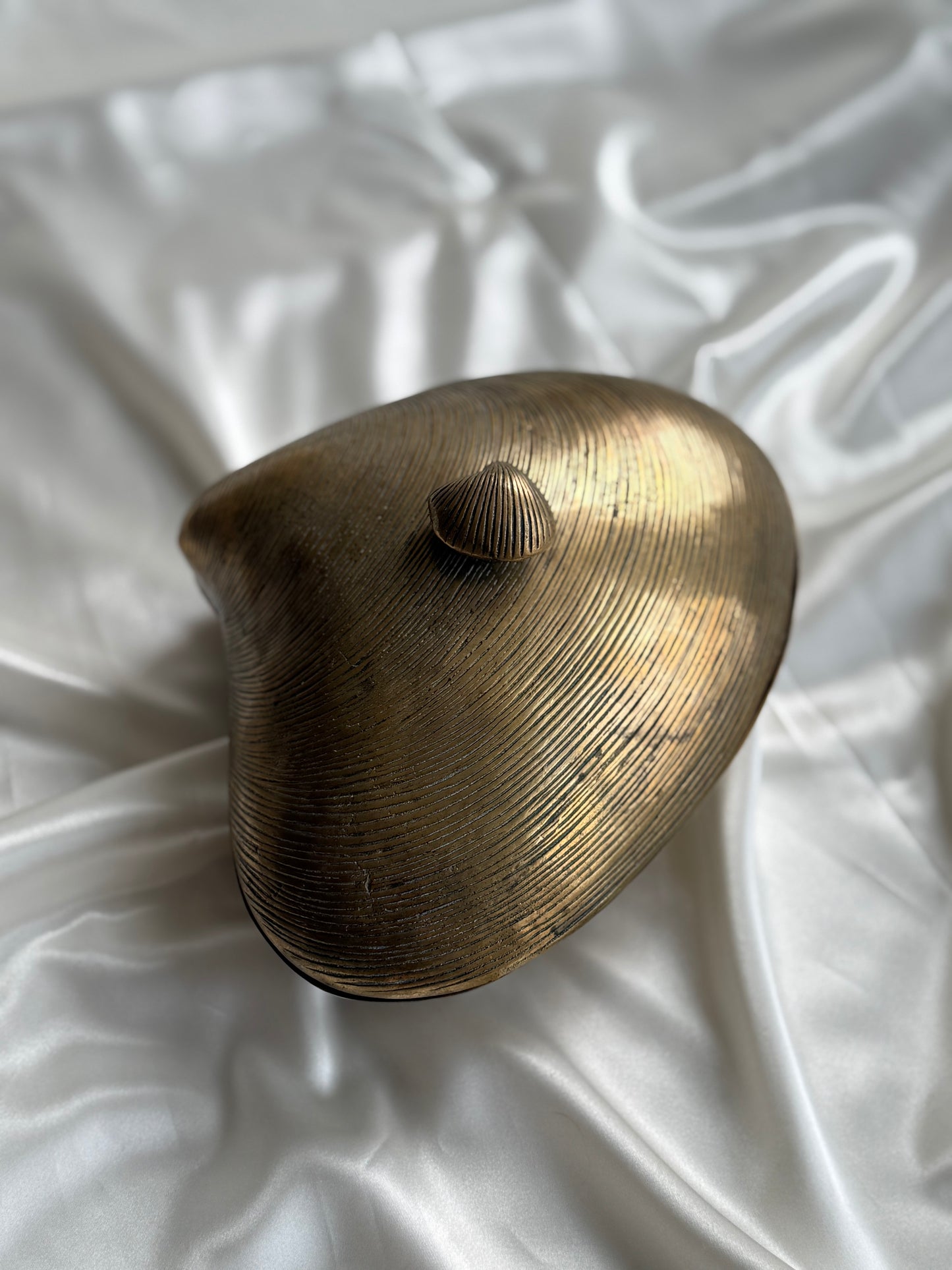 Vintage Large  Solid Brass Clamshell Box
