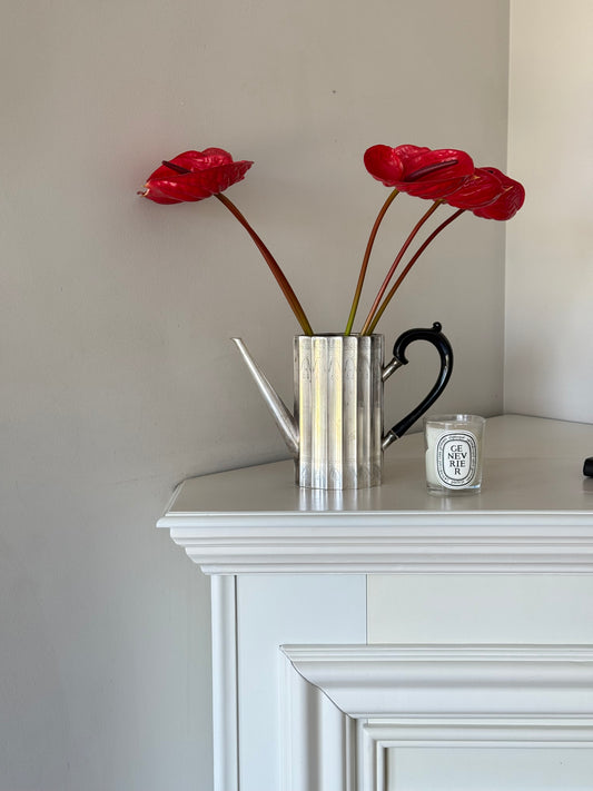 Vintage Silver-Plated Watering Can