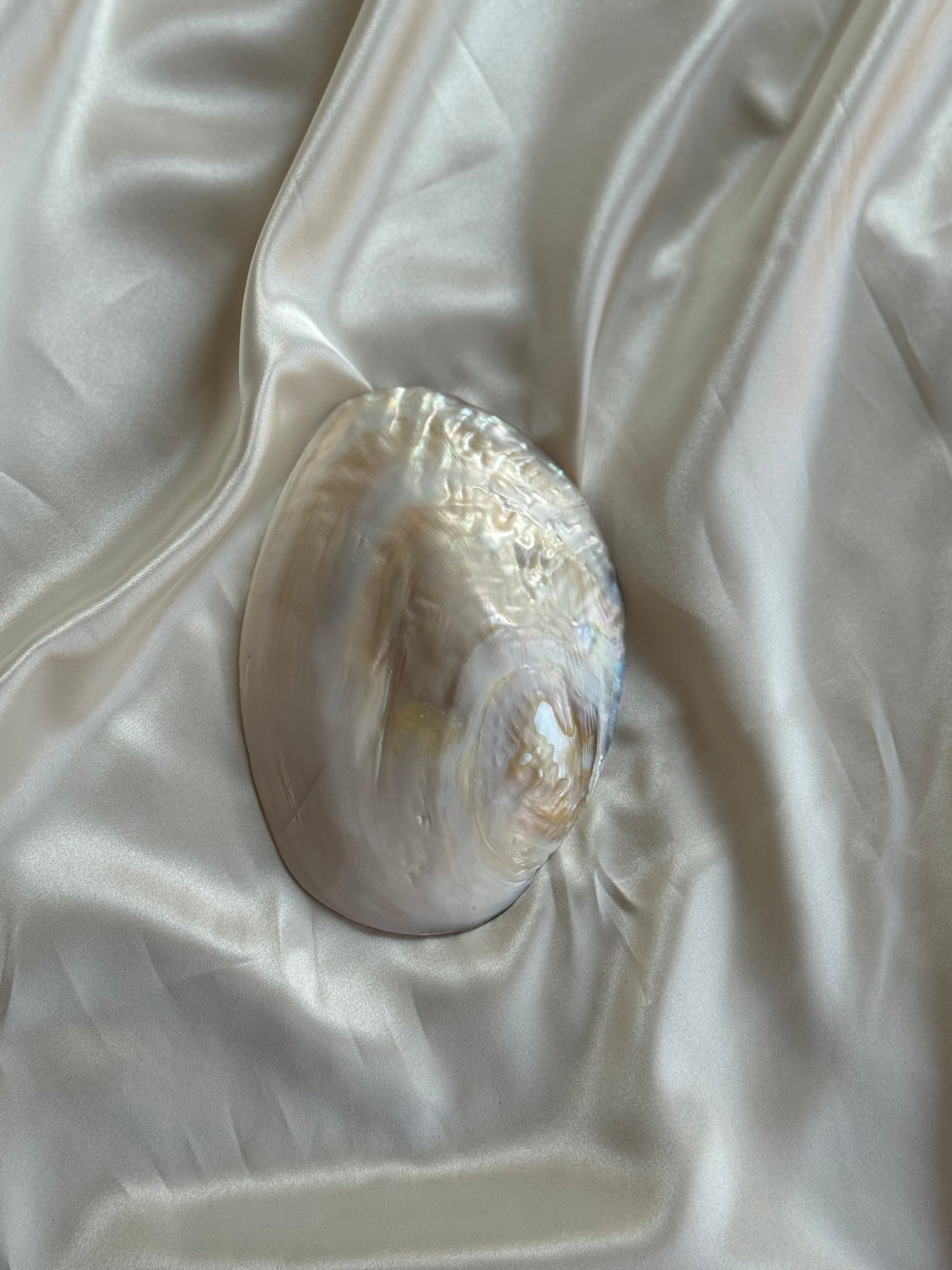 Vintage Mother of Pearl Shell Trinket Dish