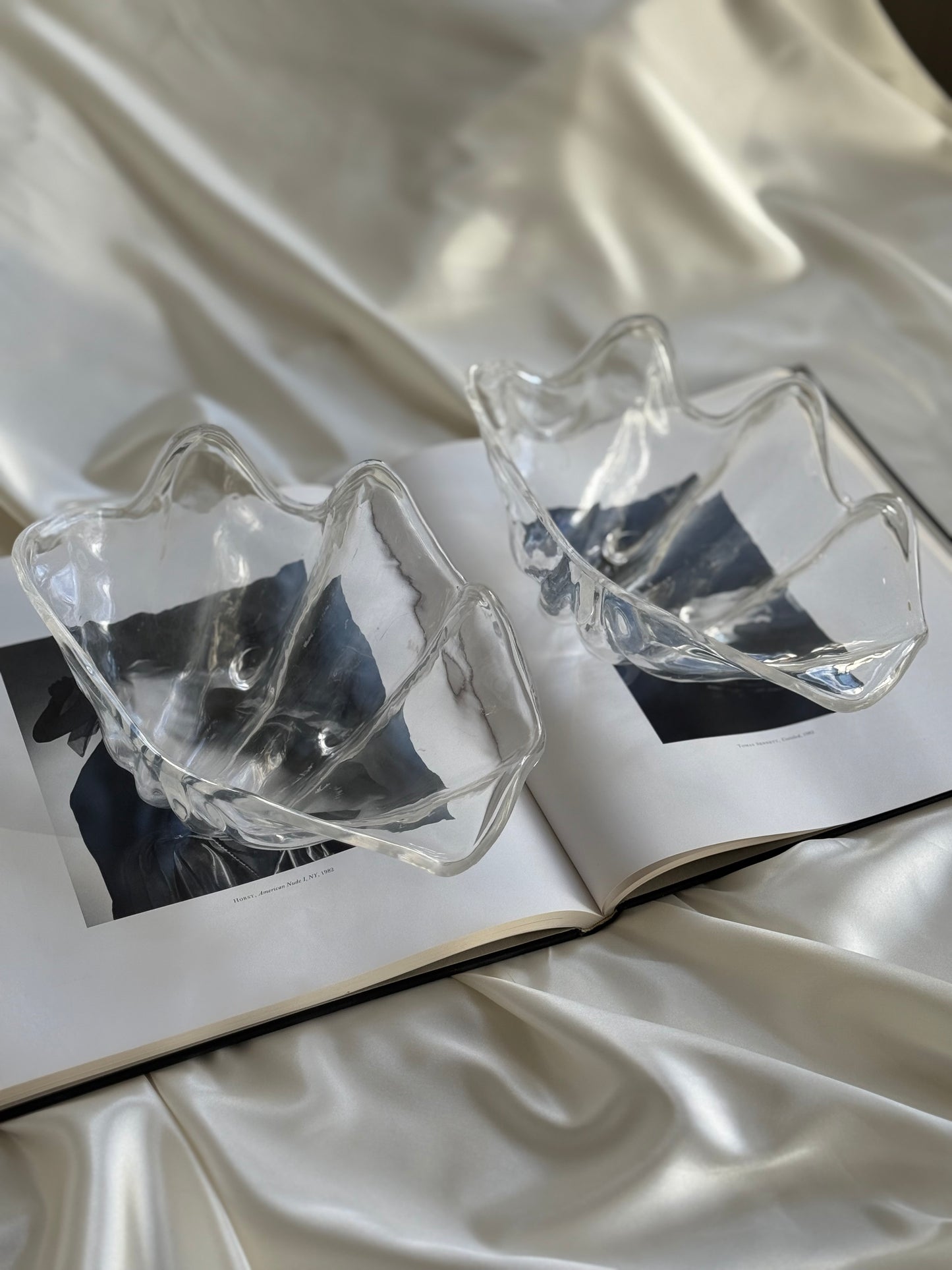 Set of 2 Sculptural Acrylic Shell Dishes – Coastal Modern Decor