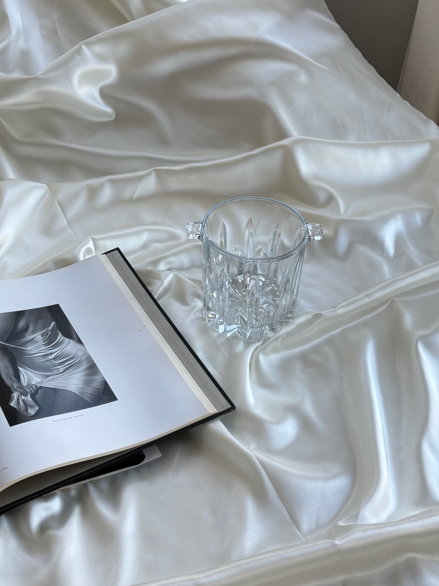 Vintage Italian crystal ice holder