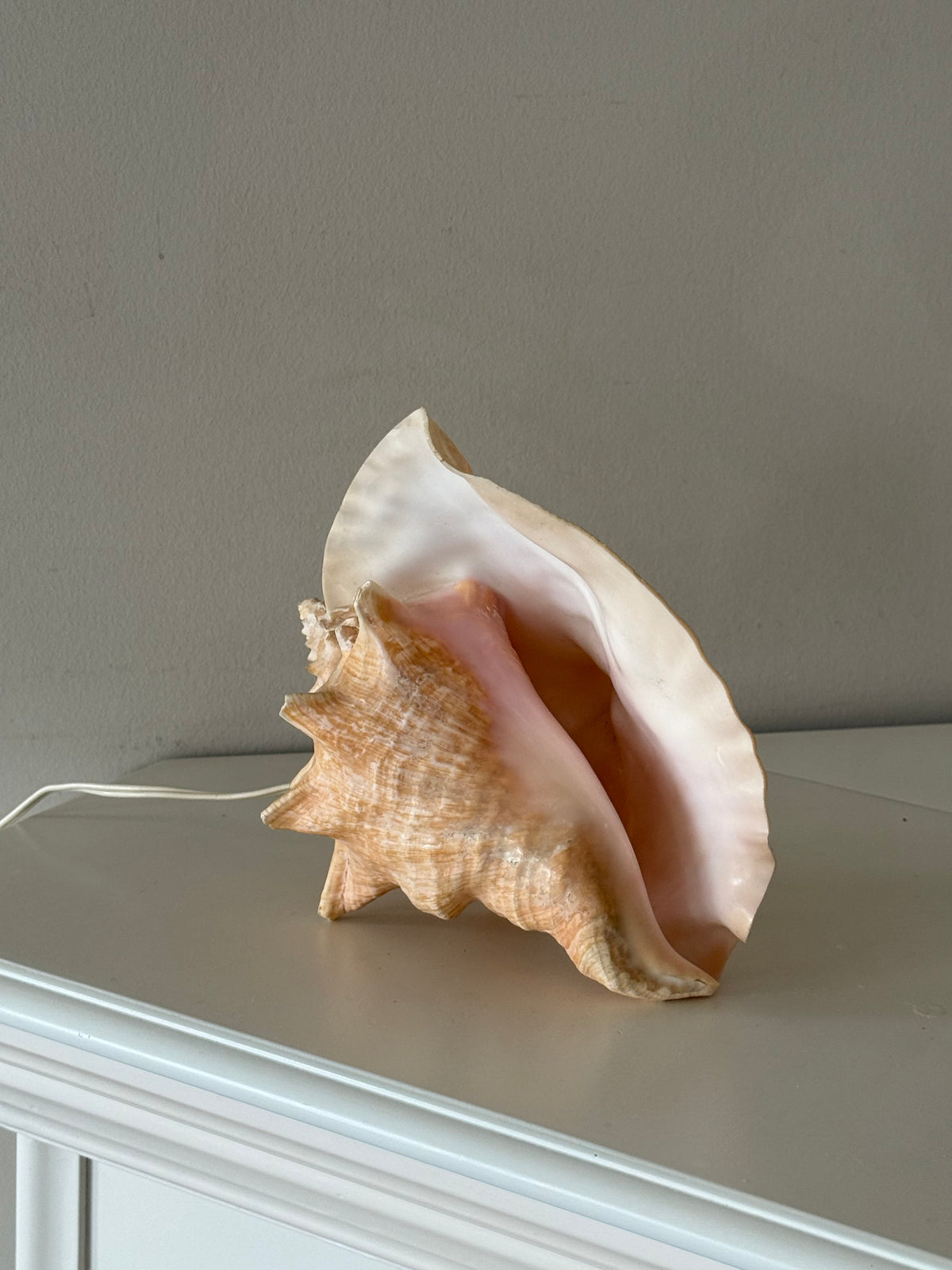 Vintage Sculptural Conch Shell Accent Lamp
