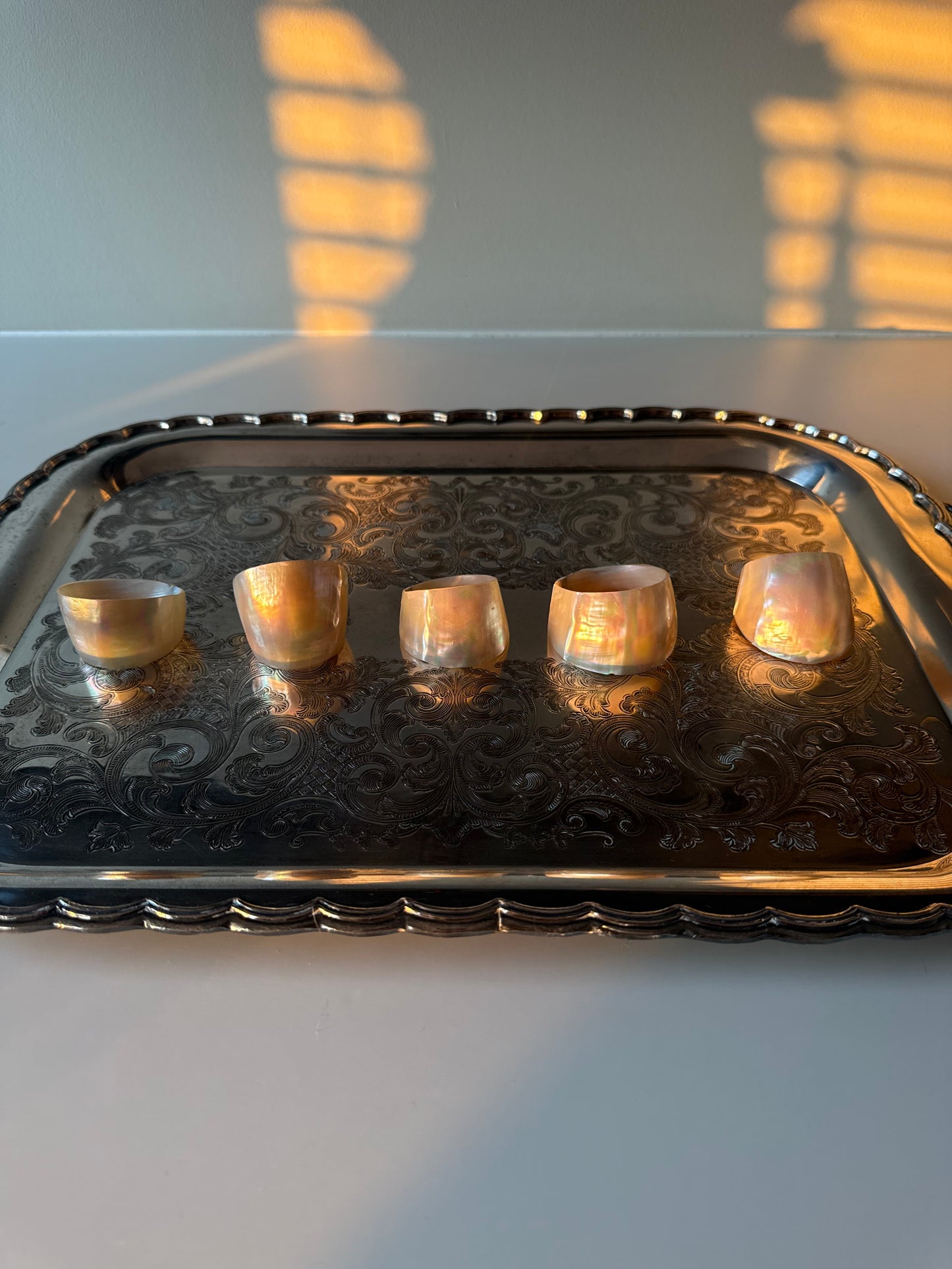 Set of 5  Mother of Pearl Napkin Rings
