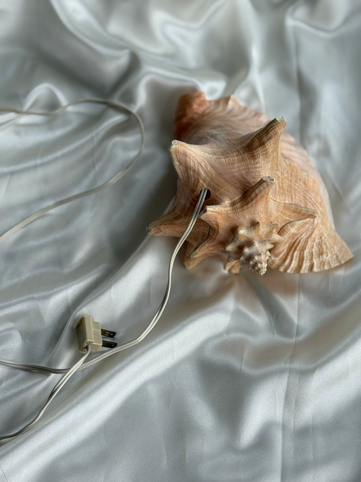 Vintage Sculptural Conch Shell Accent Lamp