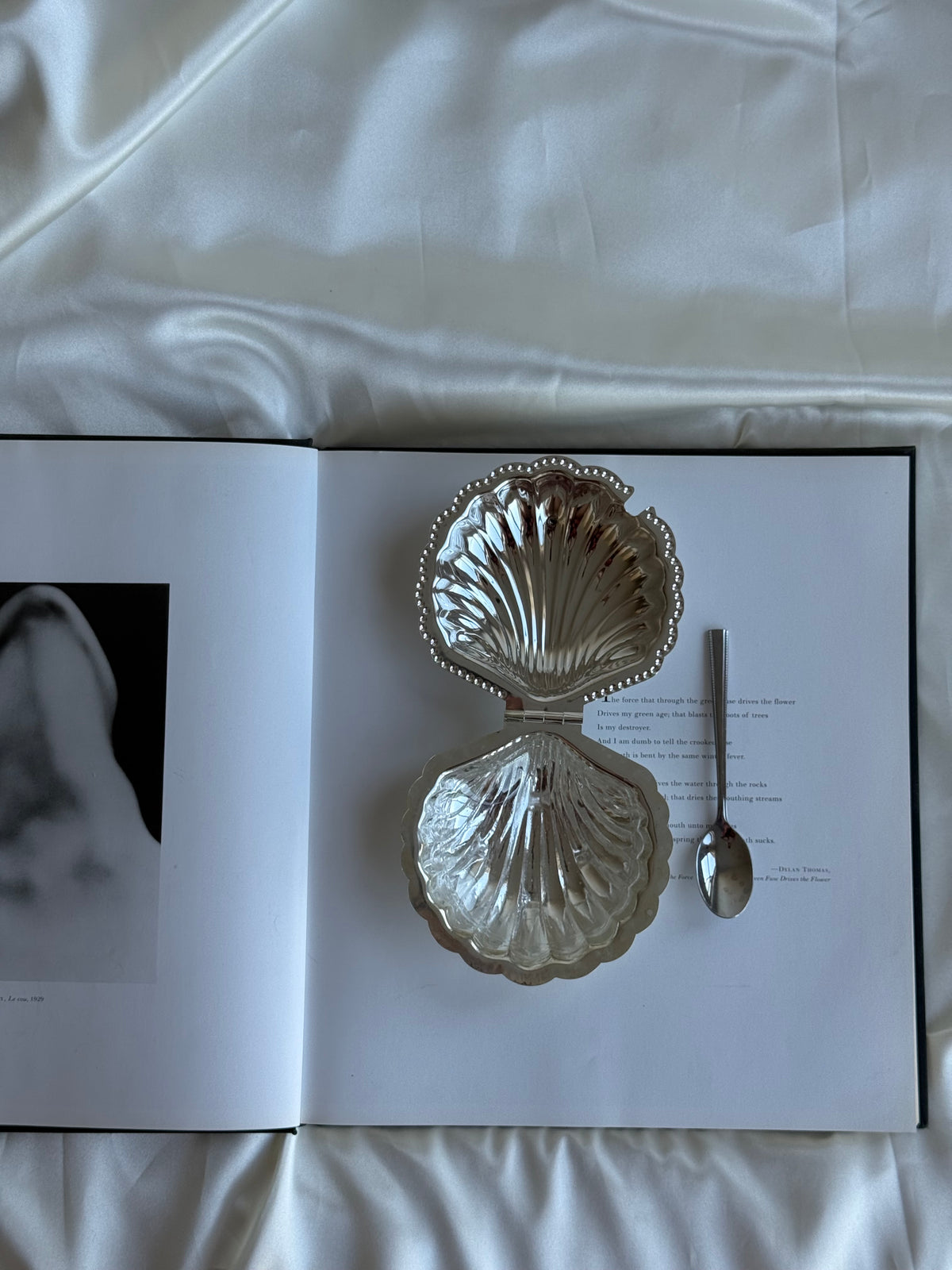 Vintage Silver-Plated Shell Sugar Bowl with Glass Insert & Spoon