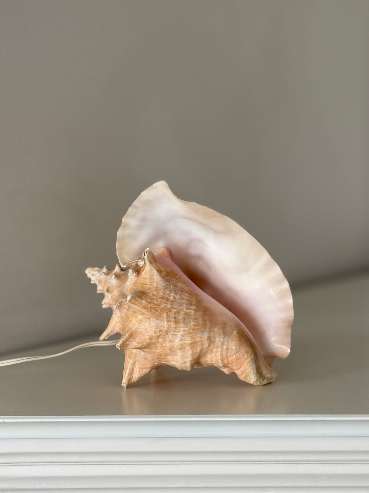Vintage Sculptural Conch Shell Accent Lamp