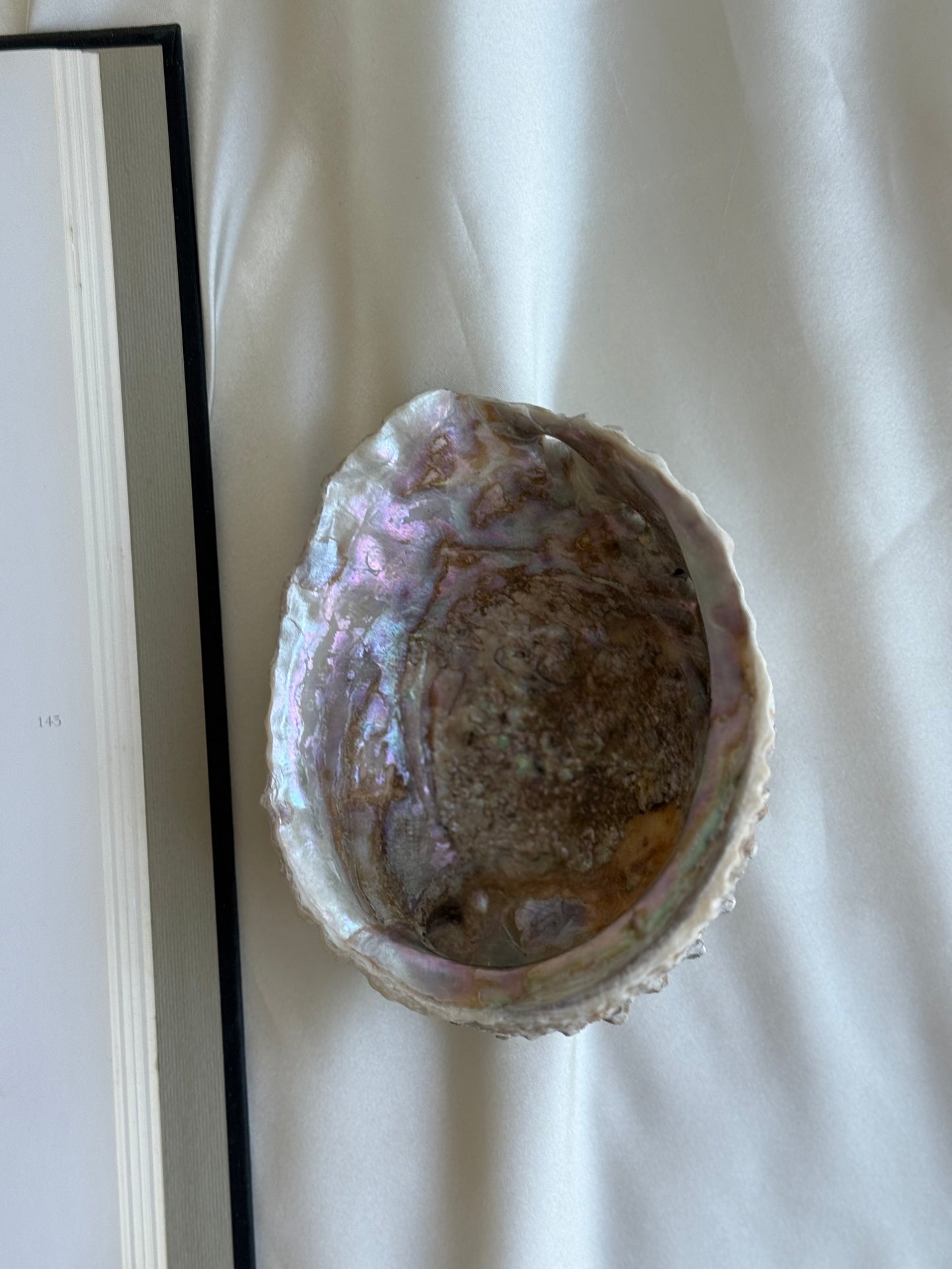 Vintage Natural Abalone Shell Bowl