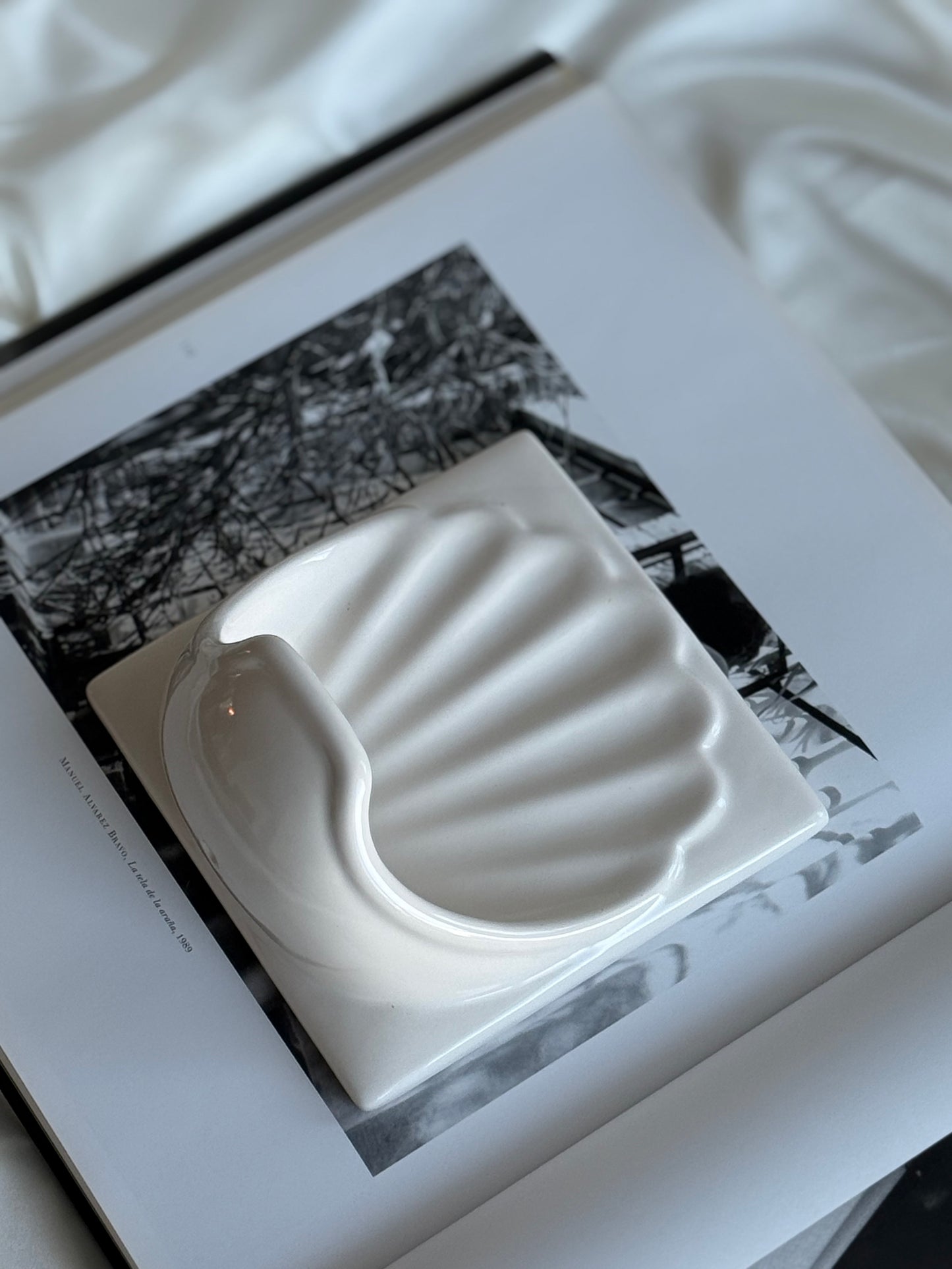 Vintage White Ceramic Shell Wall-Mounted Soap Dish