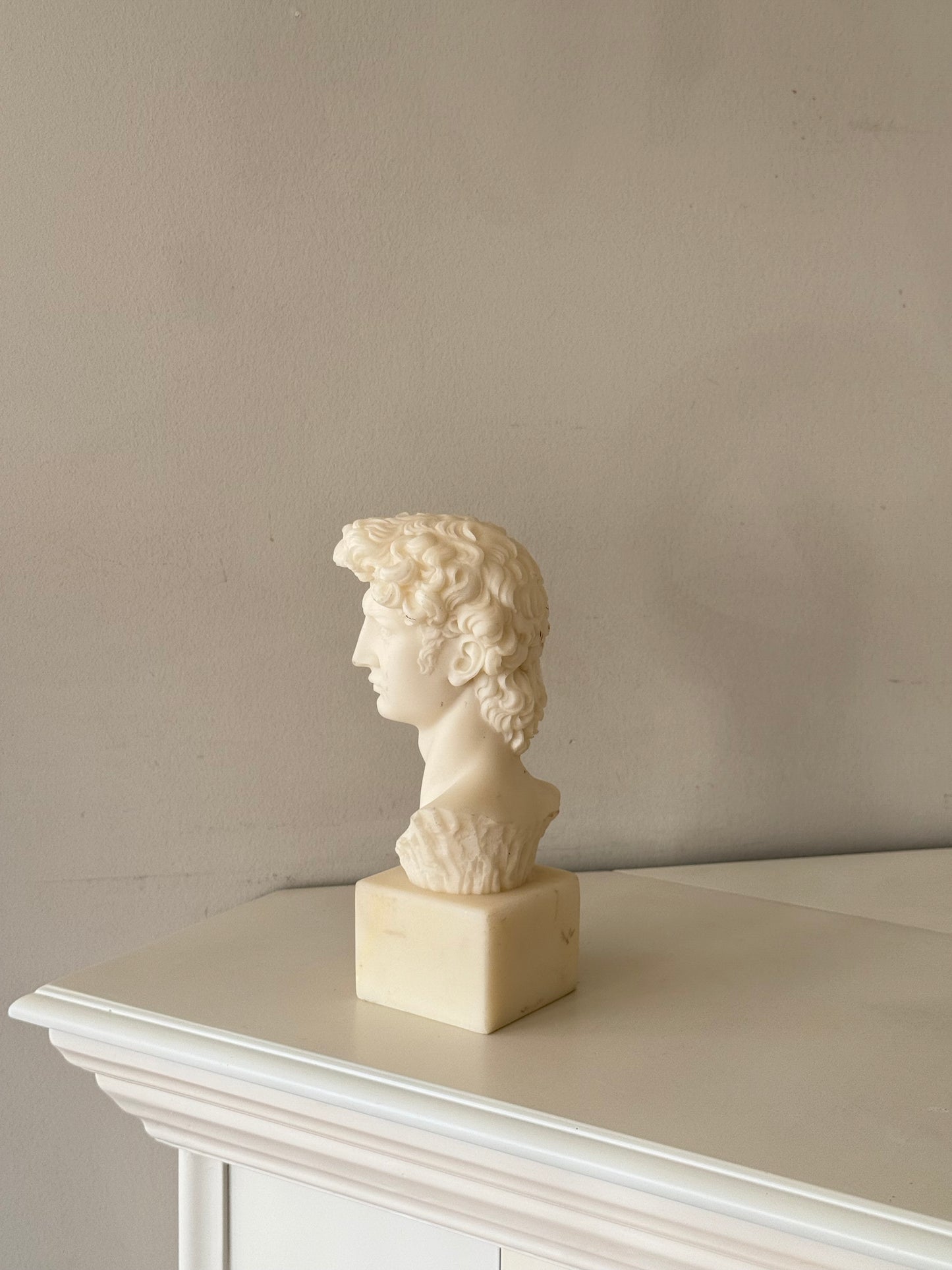 Vintage Bust of Michelangelo’s David