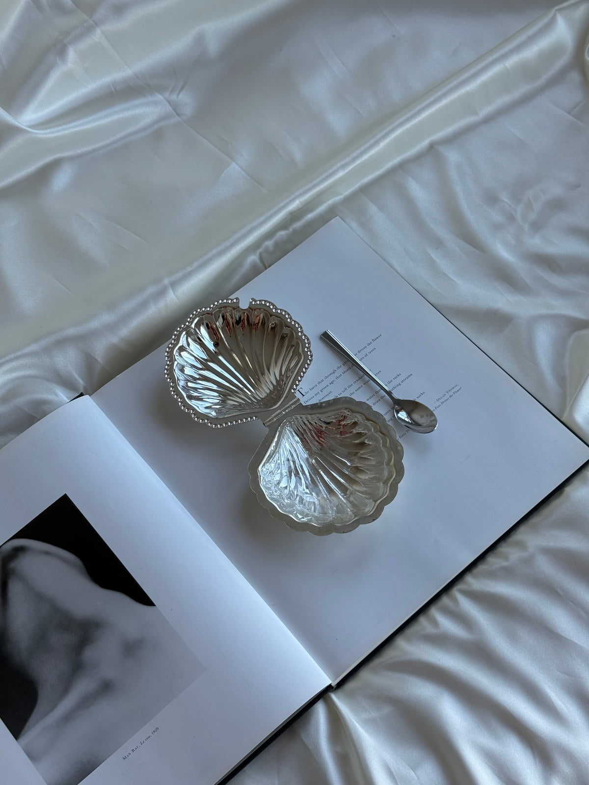 Vintage Silver-Plated Shell Sugar Bowl with Glass Insert & Spoon