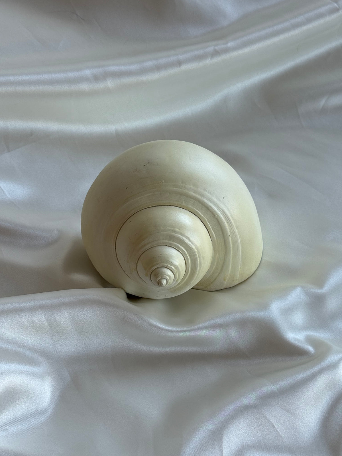 Natural Ivory Ceramic Seashell Sculpture – Coastal Decorative Accent