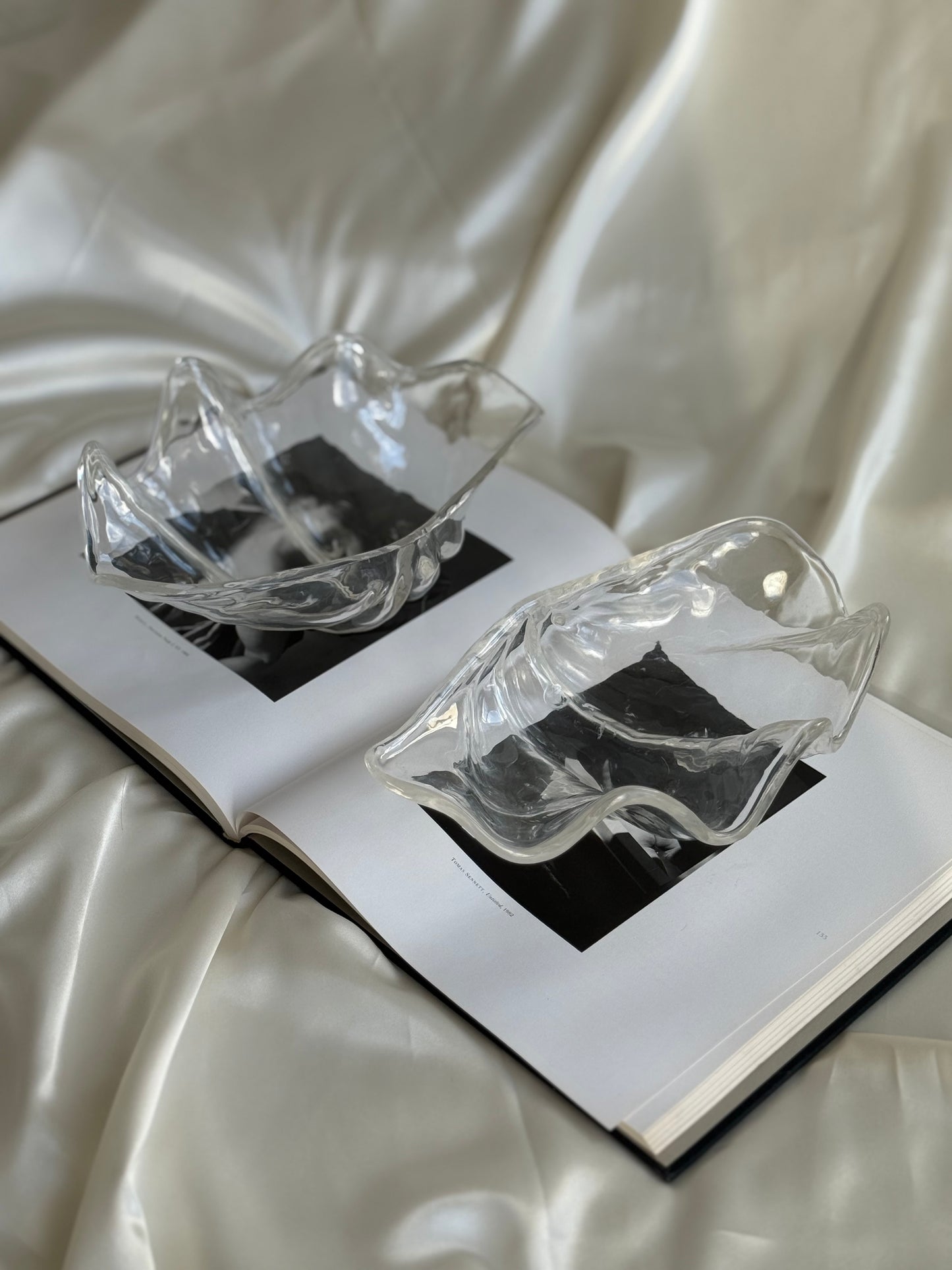 Set of 2 Sculptural Acrylic Shell Dishes – Coastal Modern Decor