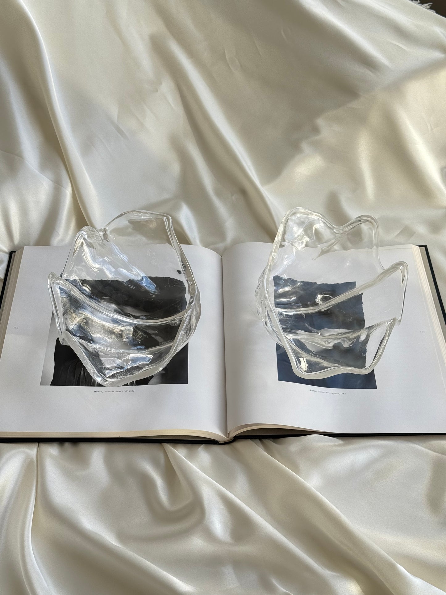 Set of 2 Sculptural Acrylic Shell Dishes – Coastal Modern Decor