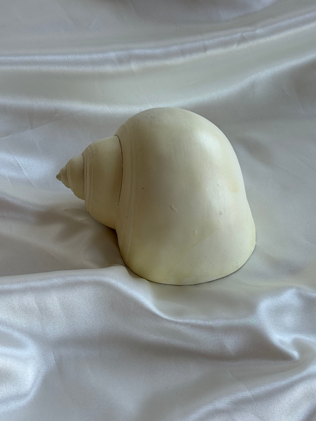 Natural Ivory Ceramic Seashell Sculpture – Coastal Decorative Accent