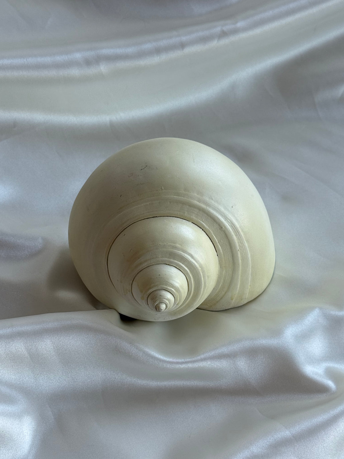 Natural Ivory Ceramic Seashell Sculpture – Coastal Decorative Accent