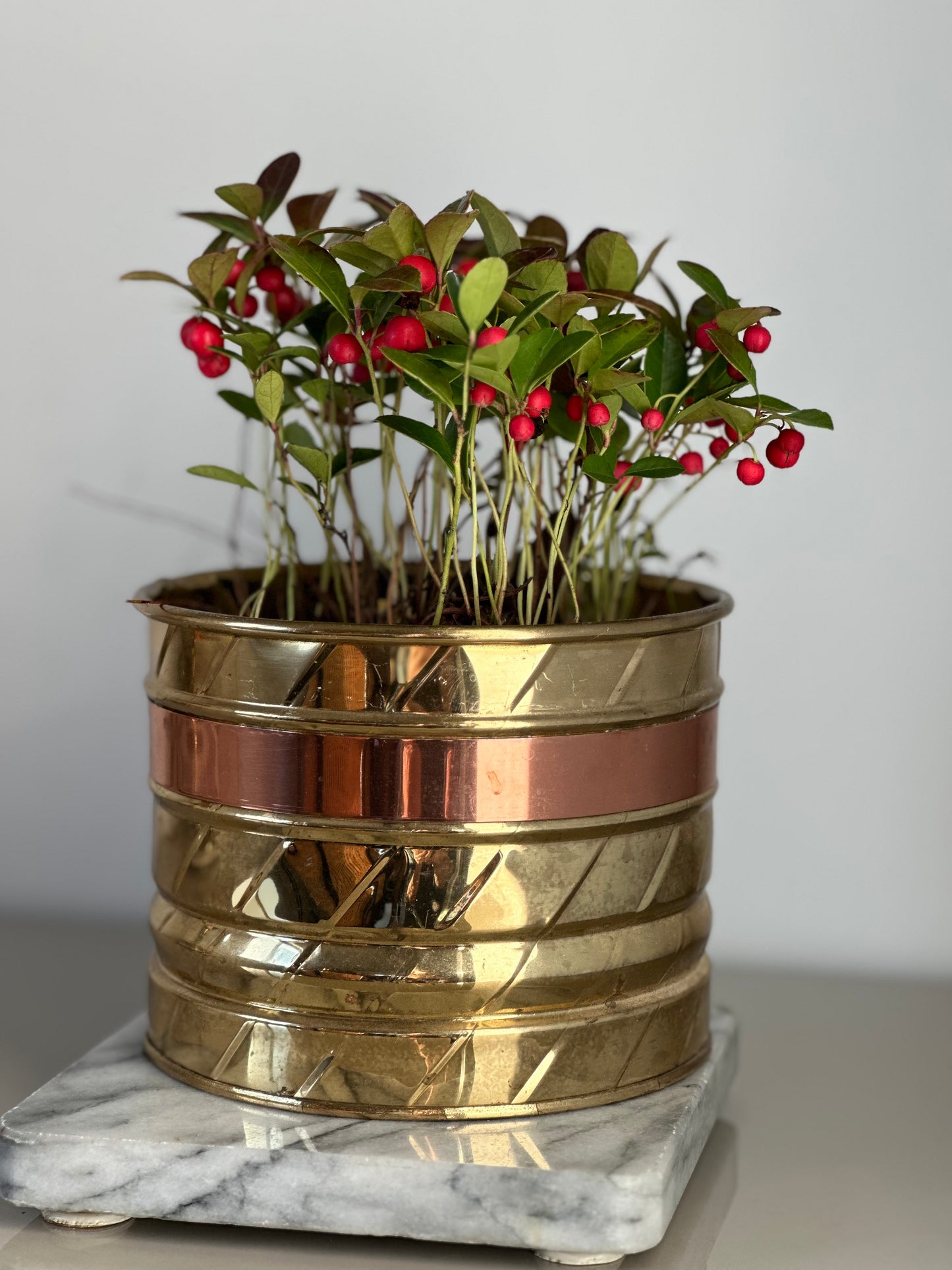 Small brass planter