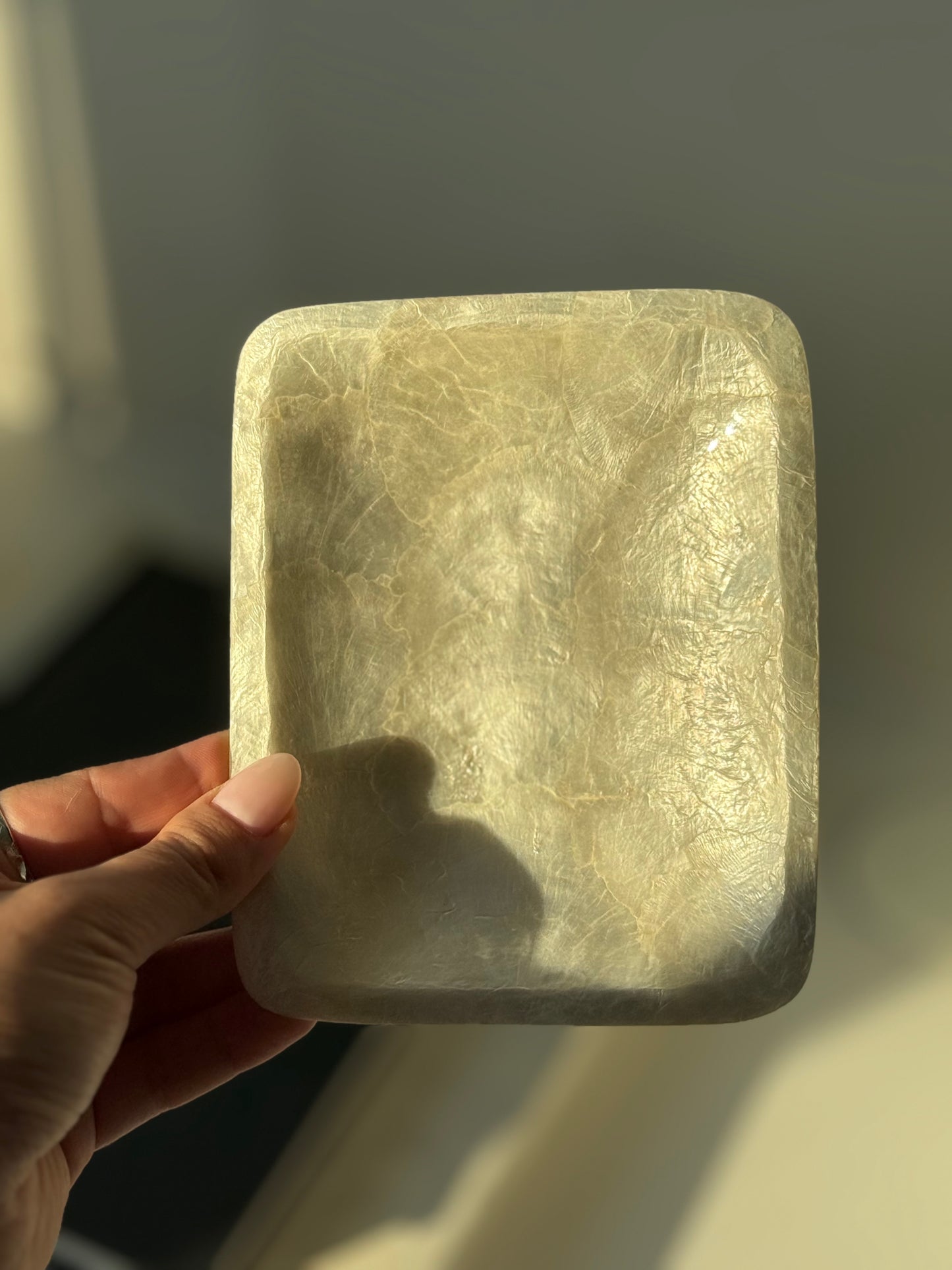 Set of 2 Capiz Shell Trays
