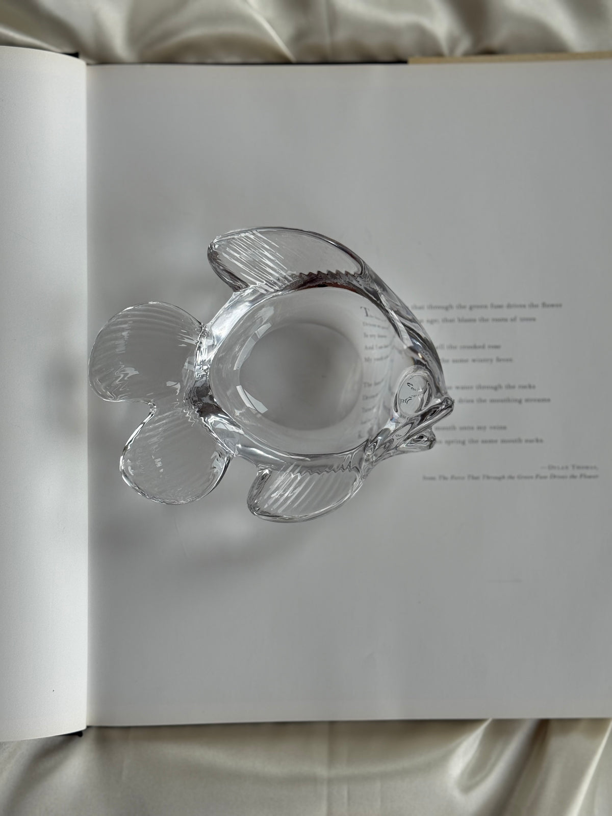 Vintage French Art Glass Fish Bowl / Vide-Poche