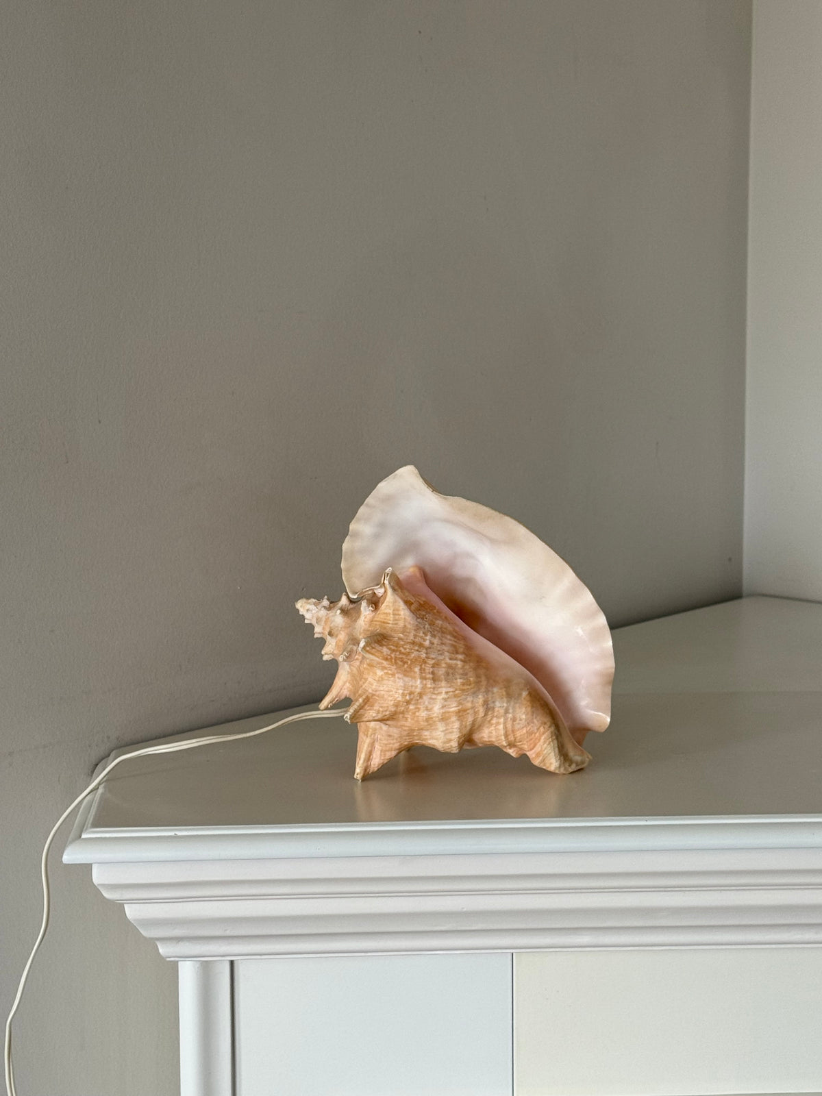 Vintage Sculptural Conch Shell Accent Lamp