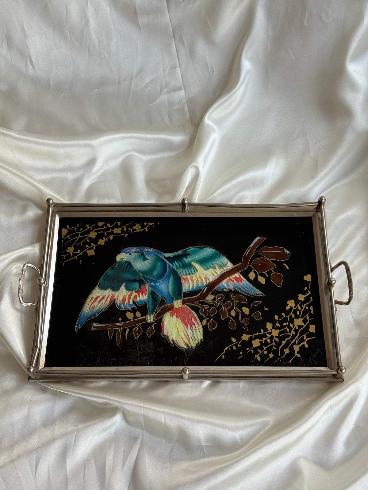 Vintage Reverse Painted Glass Serving Tray with Parrot Design