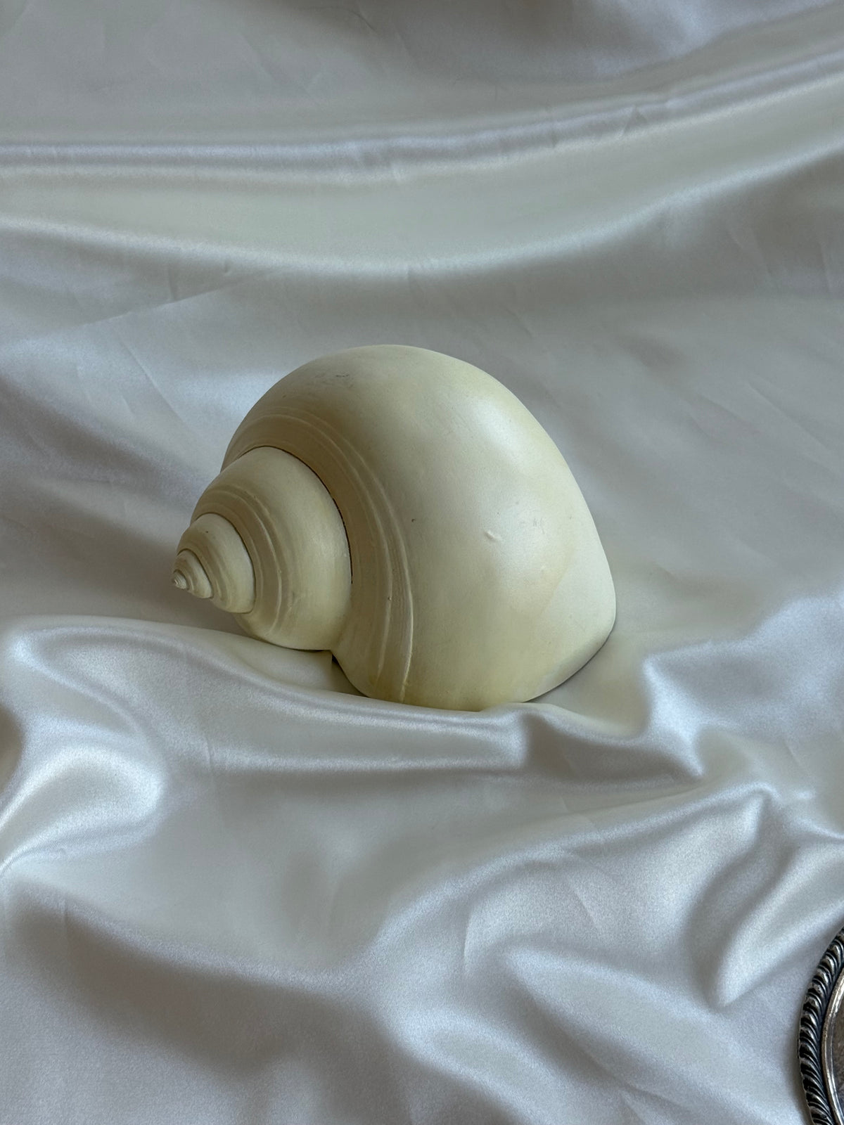 Natural Ivory Ceramic Seashell Sculpture – Coastal Decorative Accent