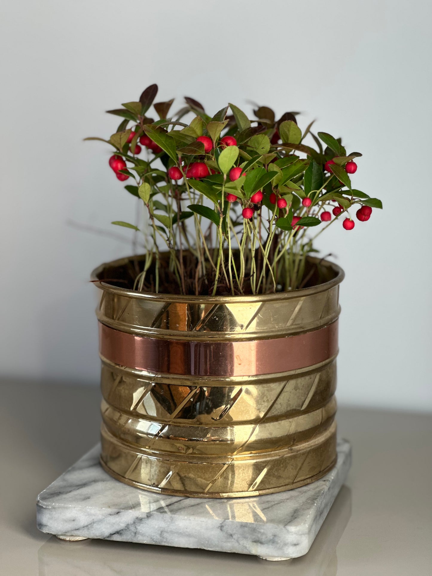 Small brass planter